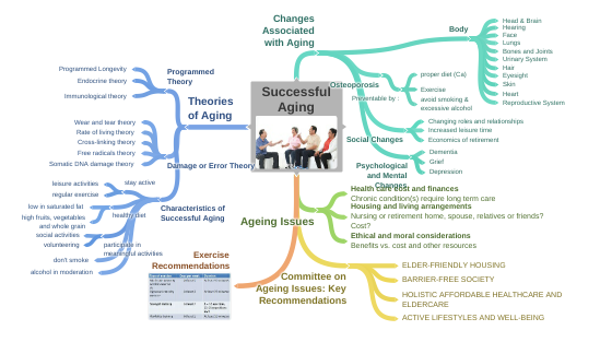 Successful Ageing Theory