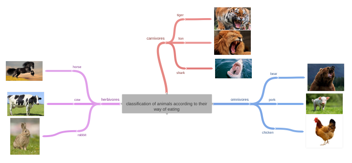 classification of animals according to their way of eating - Coggle…